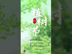 aluminum oxide conveyor roller